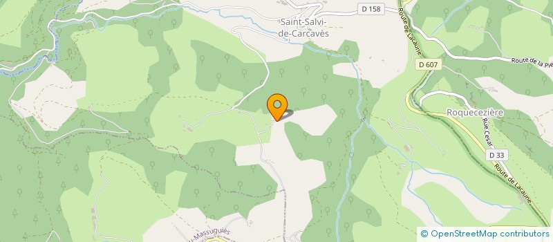 localisation de l'entreprise DU ROCHER  SAINT-SALVI-DE-CARCAVES