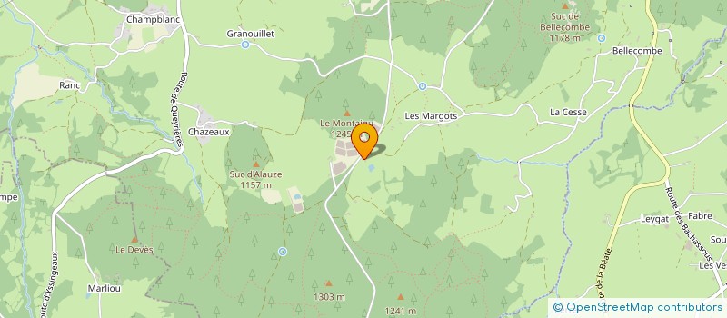 localisation de l'entreprise DU SUC DE MONTAIGU à YSSINGEAUX