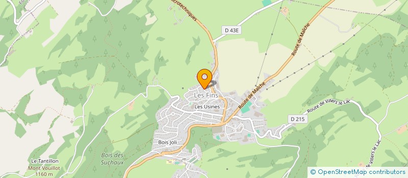 localisation de l'entreprise DU VERT BOIS  LES FINS
