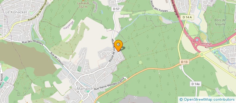 localisation de l'entreprise DU WALDIE  HAYANGE