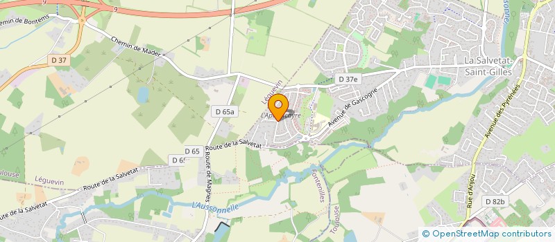 localisation de l'entreprise DUARTE 31  SAINT-LYS