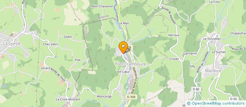 localisation de l'entreprise DUBOST ET FILS  COURS