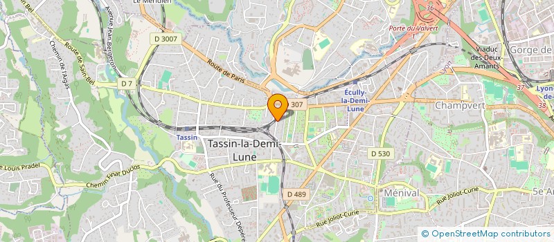 localisation de l'entreprise DUBOURGNON INVESTISSEMENT  TASSIN-LA-DEMI-LUNE