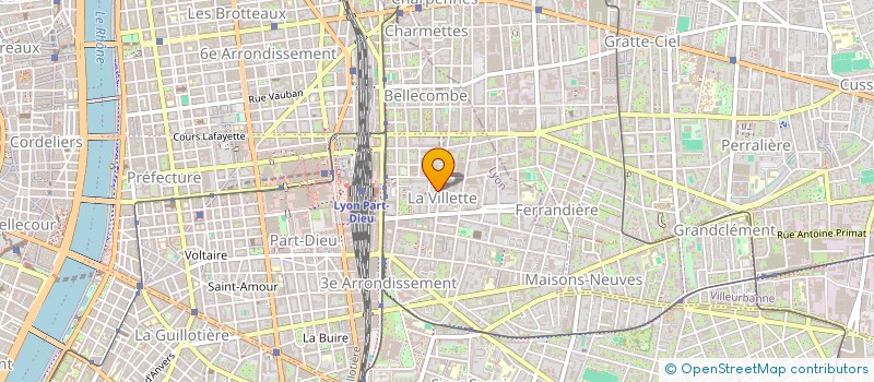 localisation de l'entreprise DUCHESS IMMO  LYON