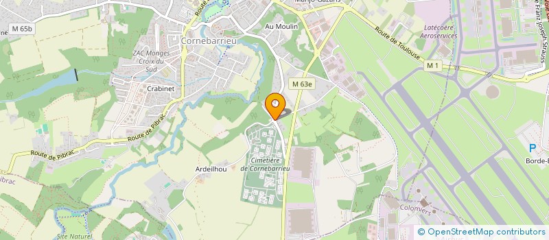 localisation de l'entreprise DUFRY TOULOUSE SAS à BLAGNAC