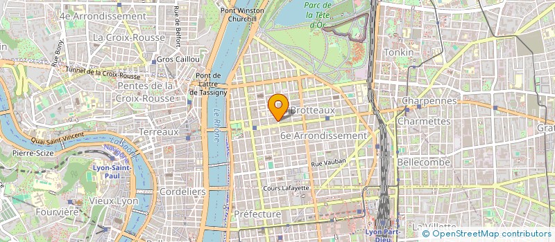 localisation de l'entreprise DUGUESCLIN 98  LYON