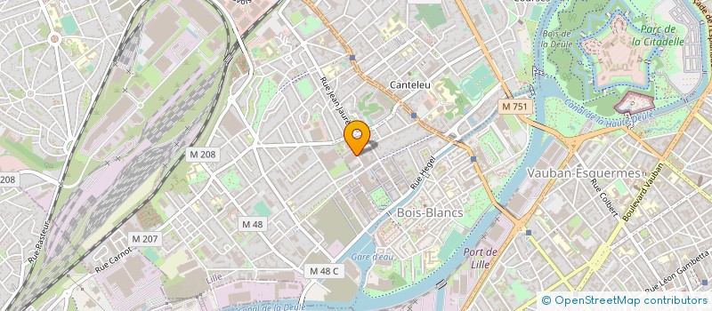 localisation de l'entreprise DUMANOIS à LILLE