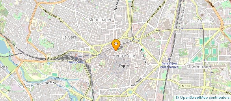localisation de l'entreprise DUO DES CARPAT à DIJON