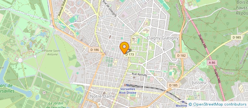 localisation de l'entreprise DUONG HOLDINGS  LE CHESNAY-ROCQUENCOURT