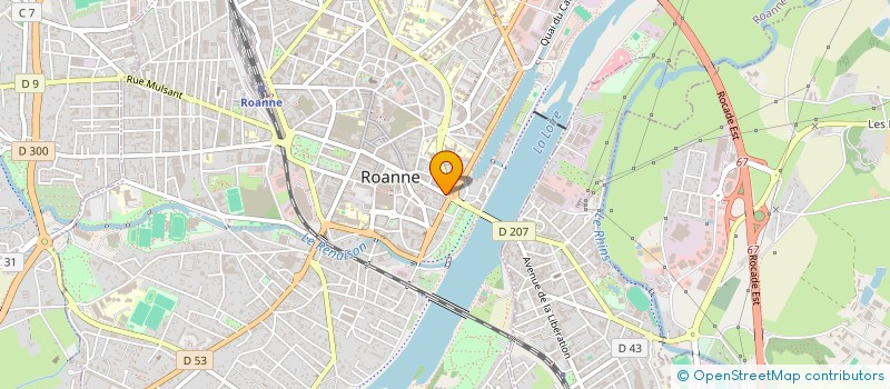 localisation de l'entreprise DURAND DOMINJON LMNP  ROANNE