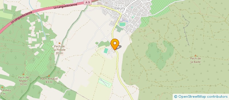 localisation de l'entreprise DUSTY  FLEURY