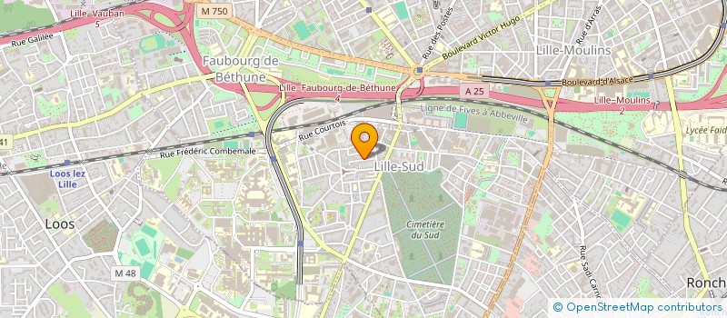localisation de l'entreprise DUVIAU FLORENT ET DAUGA CHARLENE à LILLE