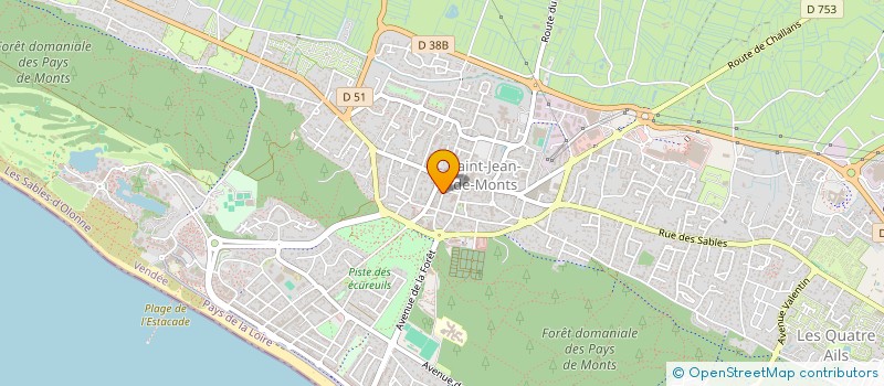 localisation de l'entreprise DVF  SAINT-JEAN-DE-MONTS