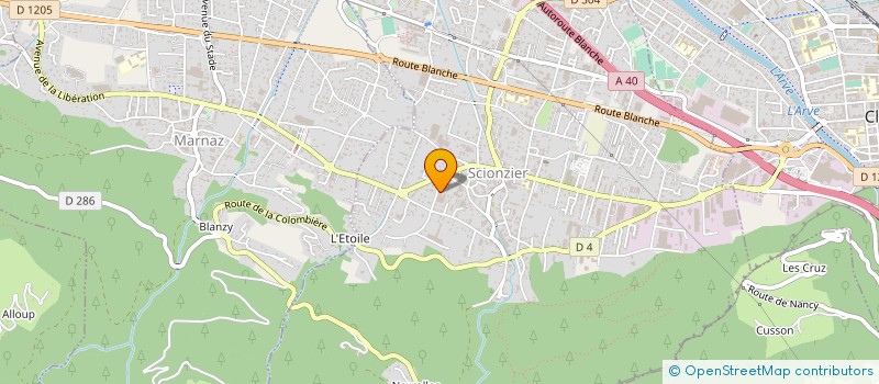 localisation de l'entreprise DVF DECOLLETAGE à SCIONZIER