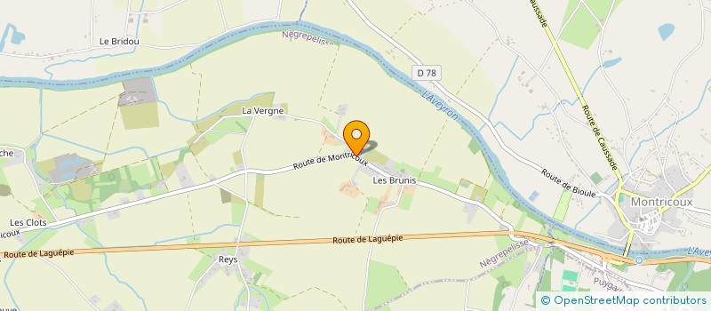 localisation de l'entreprise DVM 82  NEGREPELISSE