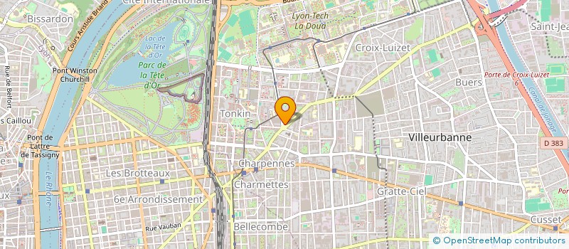 localisation de l'entreprise DVM DIFFUSION  VILLEURBANNE