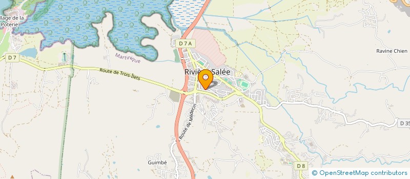 localisation de l'entreprise DVP à RIVIERE-SALEE