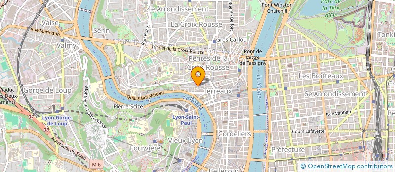 localisation de l'entreprise DVS IMMOBILIER à LYON