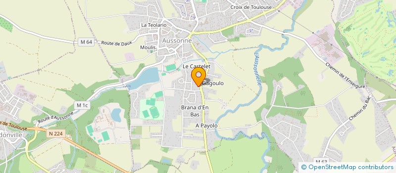 localisation de l'entreprise DYNAMIC GOLD YEARS à AUSSONNE