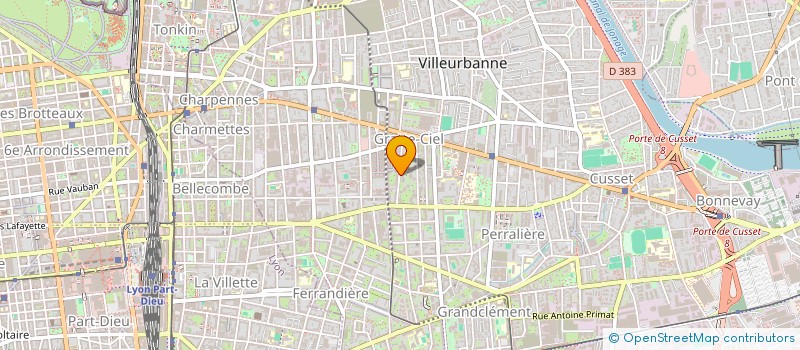 localisation de l'entreprise DYNAMIC NAME SERVICE (DYN NS)  VILLEURBANNE