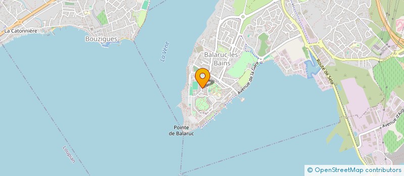 localisation de l'entreprise DYNAMIC SOLUTIONS GROUP  BALARUC-LES-BAINS