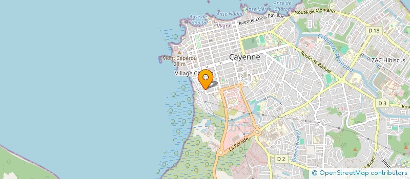 localisation de l'entreprise DYNAMIC WAY SYSTEM GUYANE  CAYENNE