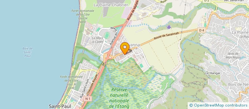 localisation de l'entreprise DYNAMIQUES SERVICES à SAINT-PAUL
