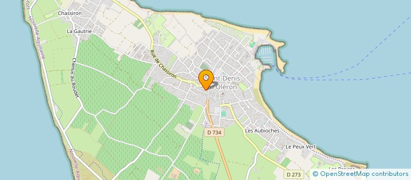 localisation de l'entreprise DYONIS'ARTS  SAINT-DENIS-D'OLERON