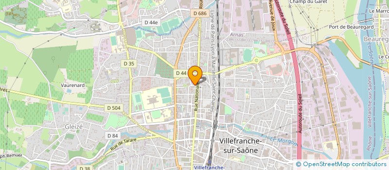 localisation de l'entreprise DZ TRANSPORT à VILLEFRANCHE-SUR-SAONE