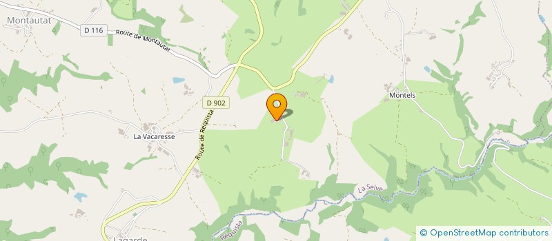 localisation de l'entreprise E.A.R.L. DE VAYSSOUS  LA SELVE