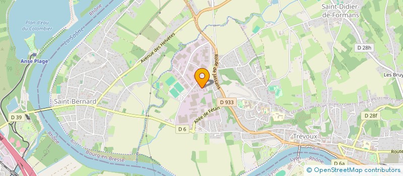 localisation de l'entreprise E D G ENTREPRISE DE GRENAILLAGE à TREVOUX