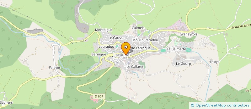 localisation de l'entreprise E'FLEURS  LACAUNE