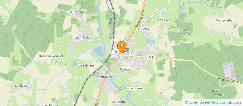 localisation de l'entreprise E.M.B. MULTI SERVICES  SAINT-ETIENNE-DU-BOIS