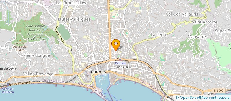 localisation de l'entreprise E.S.V. RESSOURCES à CANNES