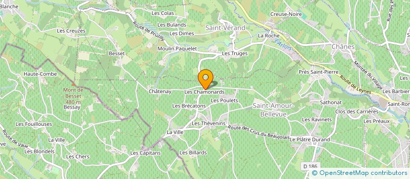 localisation de l'entreprise EARL ANDRE POITEVIN à SAINT-AMOUR-BELLEVUE