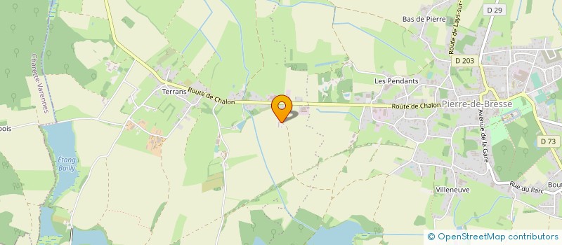 localisation de l'entreprise EARL ANJELA  PIERRE-DE-BRESSE