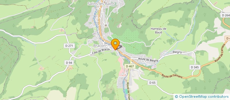 localisation de l'entreprise EARL AUX MILLE ET UNE FLEURS  BRACON