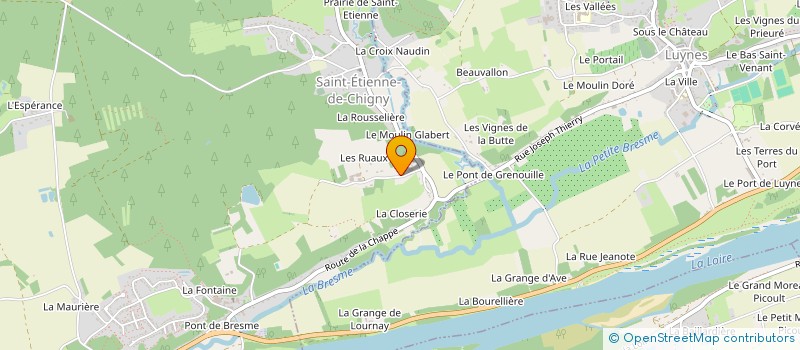 localisation de l'entreprise EARL BIZEUL  SAINT-ETIENNE-DE-CHIGNY