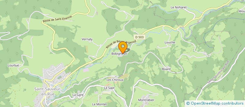 localisation de l'entreprise EARL DE BOBIGNEUX à SAINT-SAUVEUR-EN-RUE