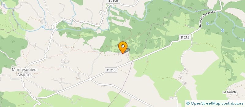 localisation de l'entreprise EARL DE BOURCH à MONTESQUIEU-AVANTES