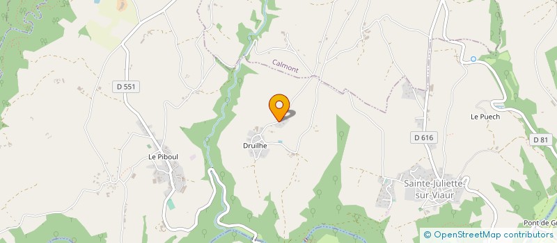 localisation de l'entreprise EARL DE DRUILHE à SAINTE-JULIETTE-SUR-VIAUR