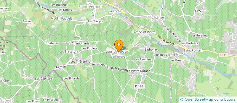 localisation de l'entreprise EARL DE LA BATIE  LA CHAPELLE-DE-GUINCHAY