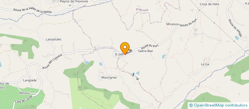 localisation de l'entreprise EARL DE MENDOUZE  LUSIGNAN-PETIT