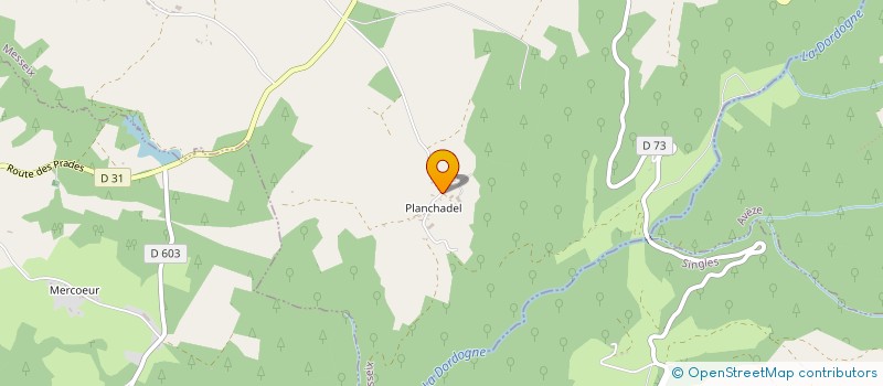 localisation de l'entreprise EARL DE PLANCHADELLE à MESSEIX