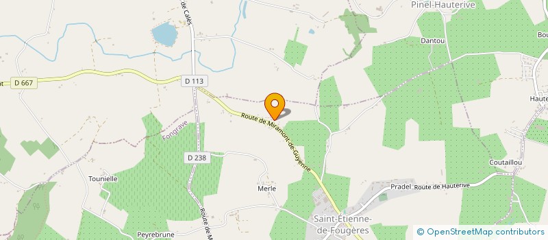 localisation de l'entreprise EARL DE SALIGNES  SAINT ETIENNE DE FOUGERES