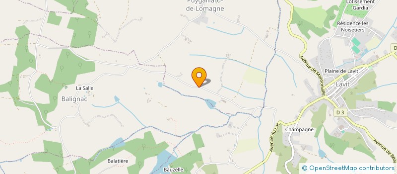 localisation de l'entreprise EARL DE VEDEL  PUYGAILLARD-DE-LOMAGNE