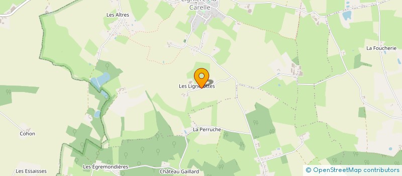 localisation de l'entreprise EARL DES LIGNEROTTES à VILLENEUVE-EN-PERSEIGNE