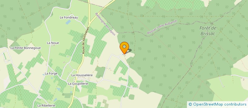 localisation de l'entreprise EARL DES MARCHAIS à BELLEVIGNE-EN-LAYON