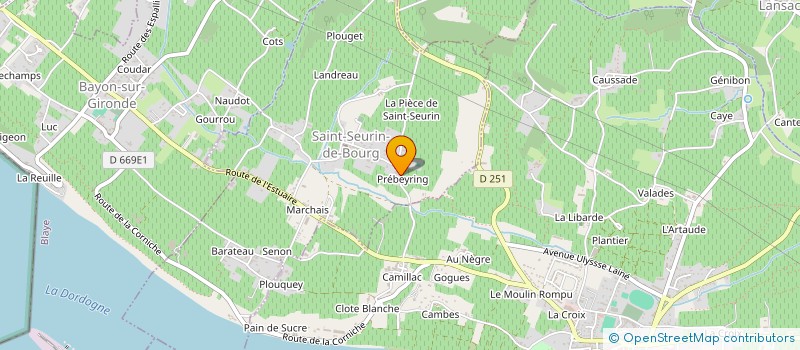 localisation de l'entreprise EARL DES VIGNOBLES BOUCHER ET FILLES  SAINT-SEURIN-DE-BOURG