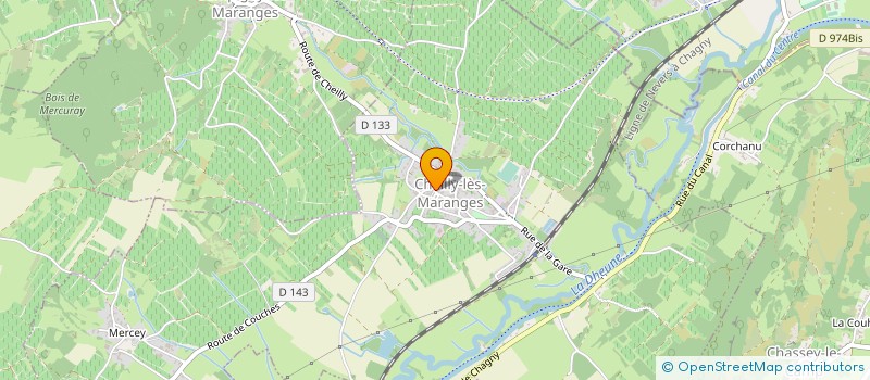 localisation de l'entreprise EARL DOMAINE BERTRAND BACHELET  DEZIZE-LES-MARANGES